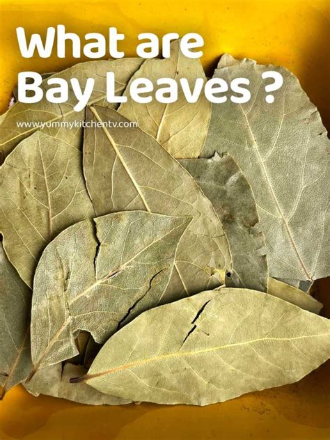 dried bay leaves in tagalog|Bay Leaves in Tagalog.